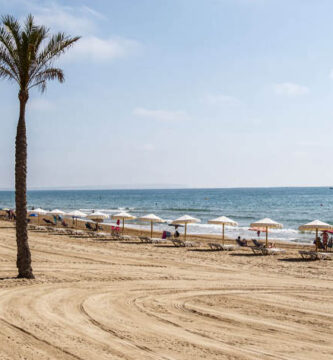 playa centro guardamar del segura